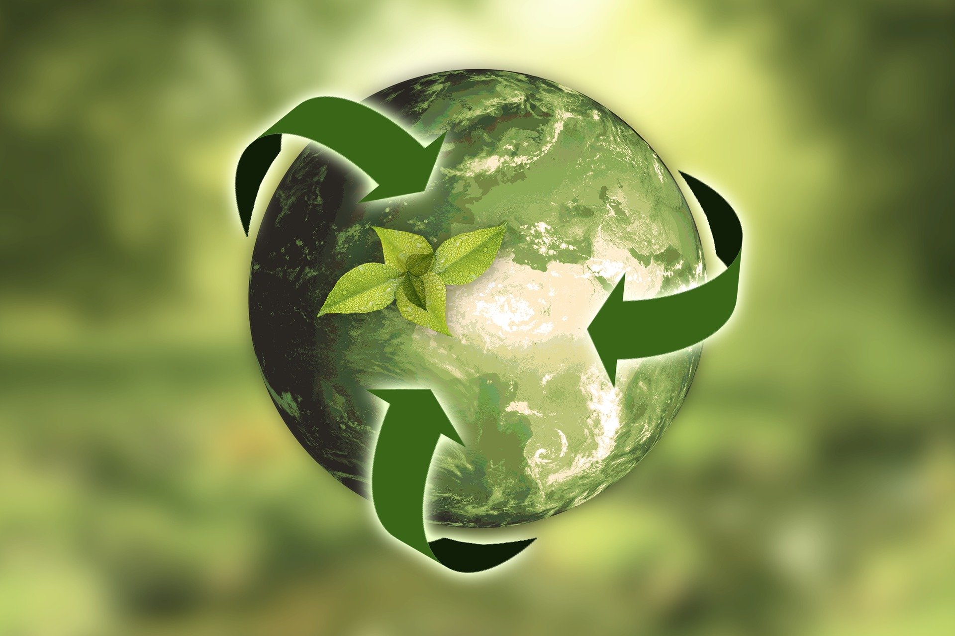 nature-3294632_1920 Recycling Kreislaufwirtschaft
